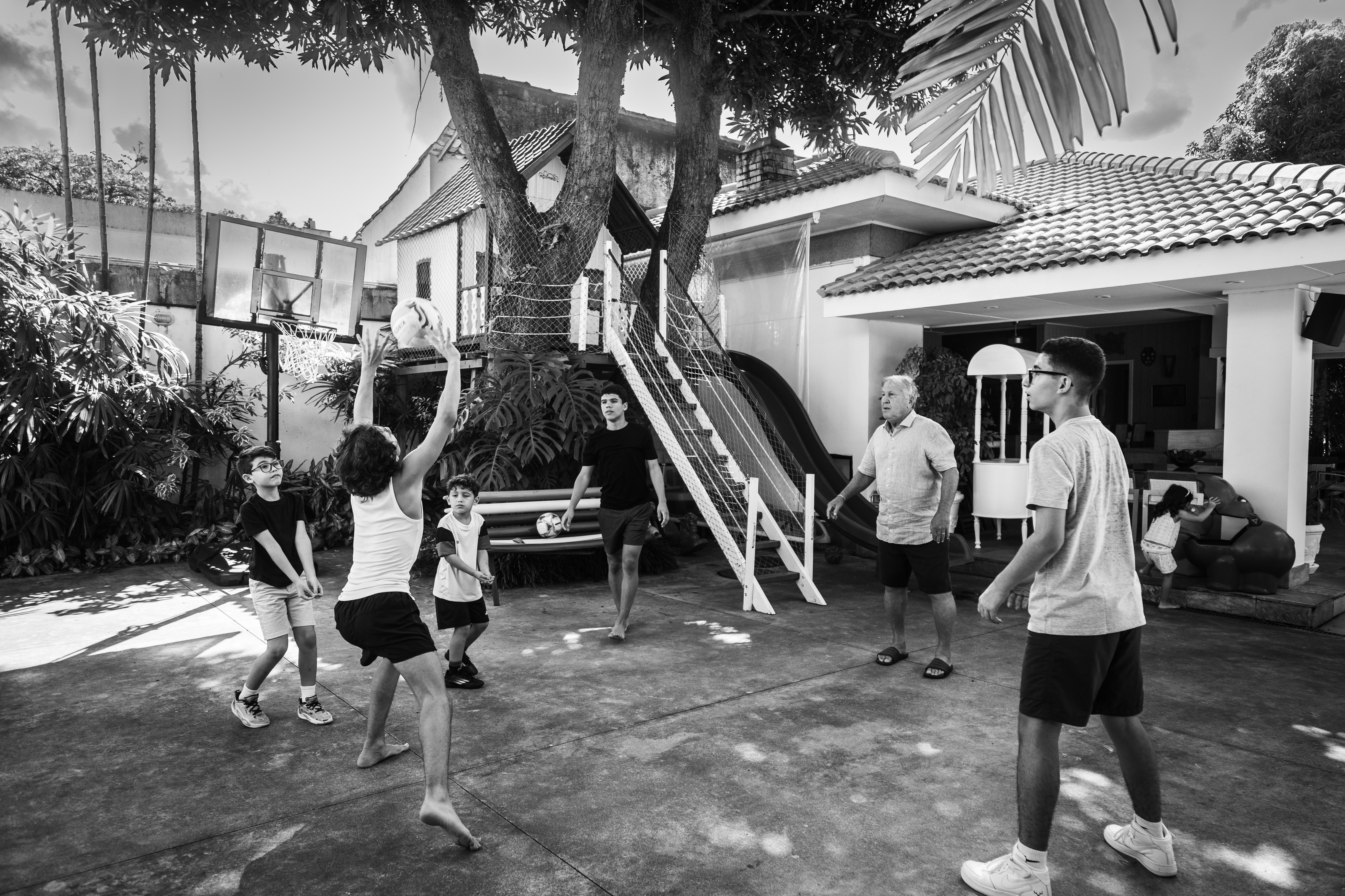 Galeria de fotos: Netos